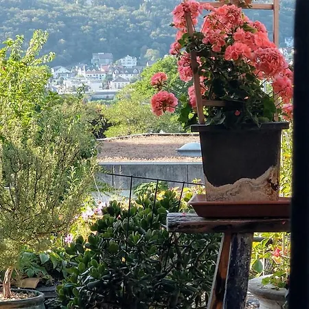 Lägenhet Artstudio Rudesheim *