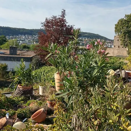 Apartment Artstudio Rudesheim Ruedesheim am Rhein