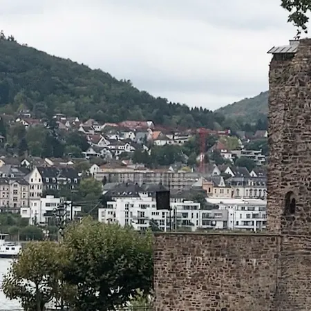 Apartment Artstudio Rudesheim Ruedesheim am Rhein