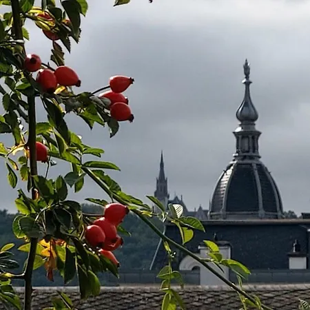 Lägenhet Artstudio Rudesheim *