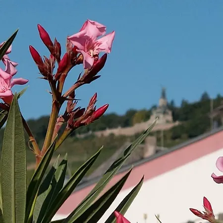 Artstudio Rudesheim Lägenhet Rüdesheim am Rhein